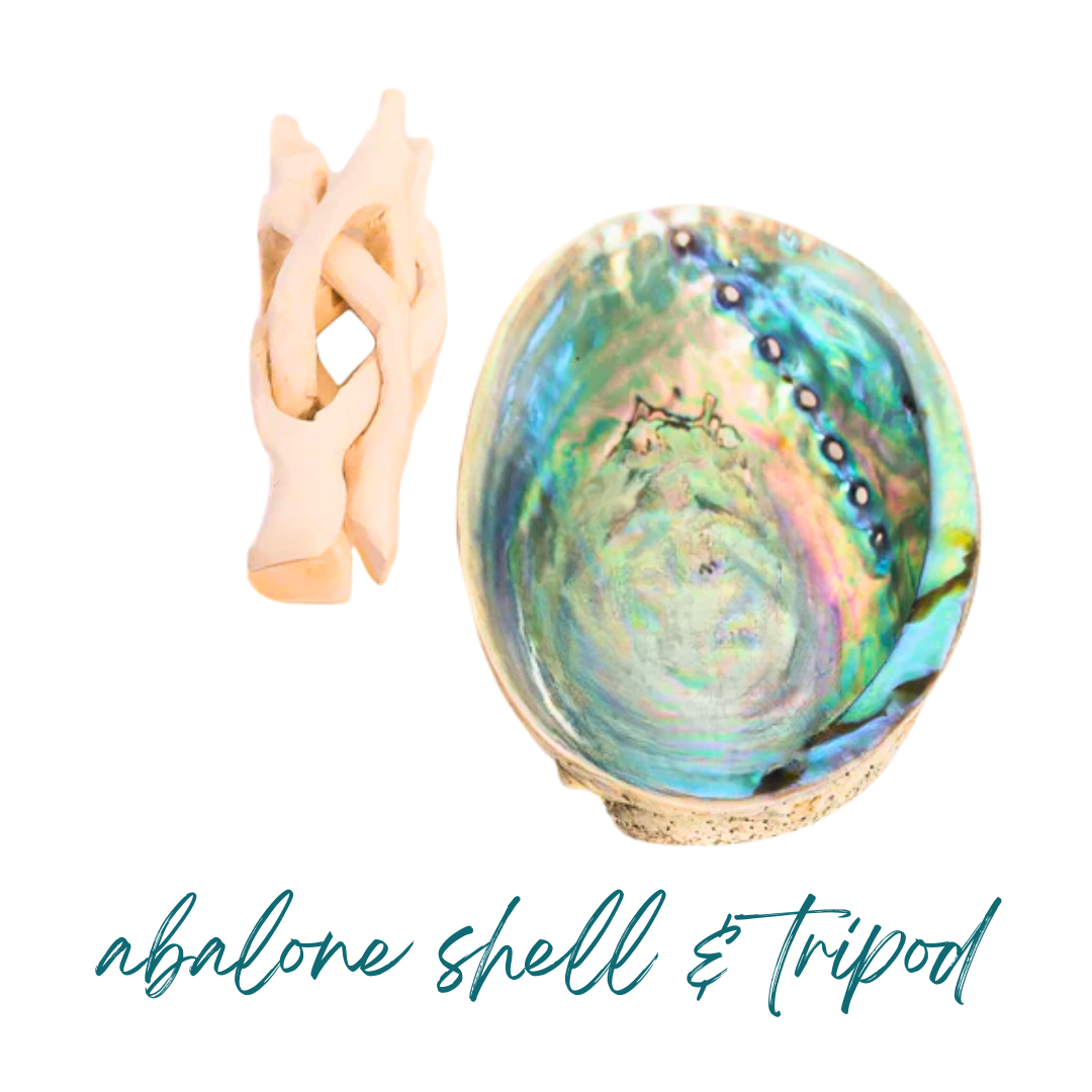 Abalone shell and tripod on a white background with text 'abalone shell & tripod.